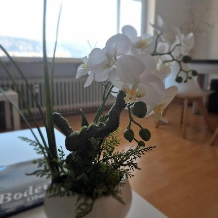 Seestudio Mit Toller Aussicht Am Bodensee Бодман-Людвігсгафен Екстер'єр фото